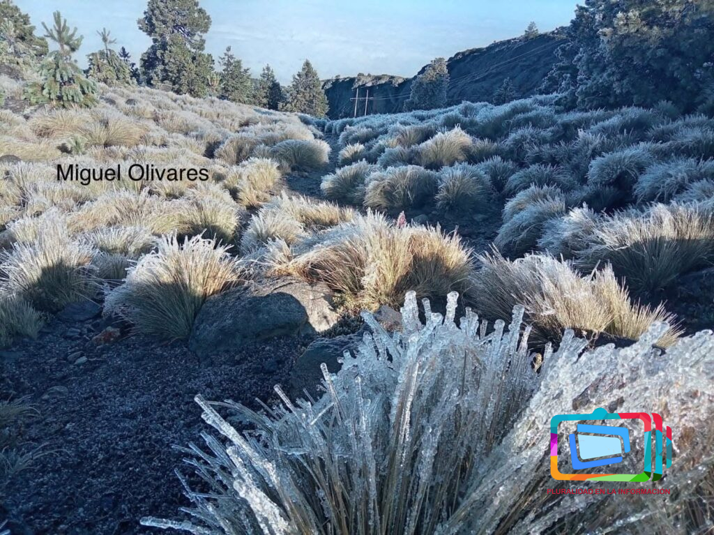 Fotos Miguel Olivares